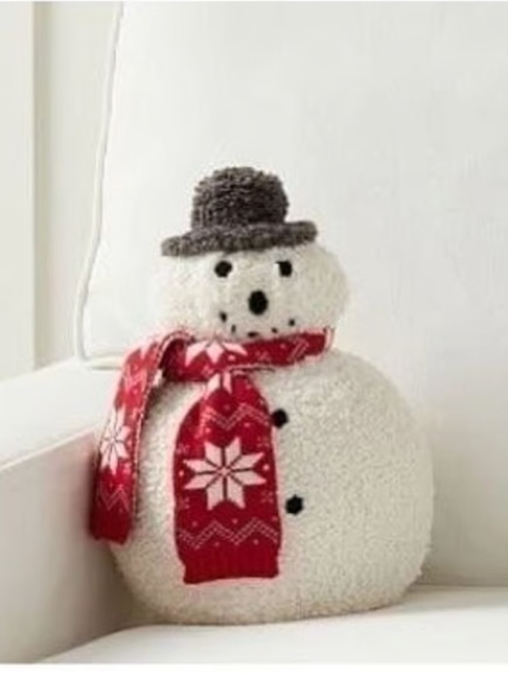 Pottery Barn Archie pillow